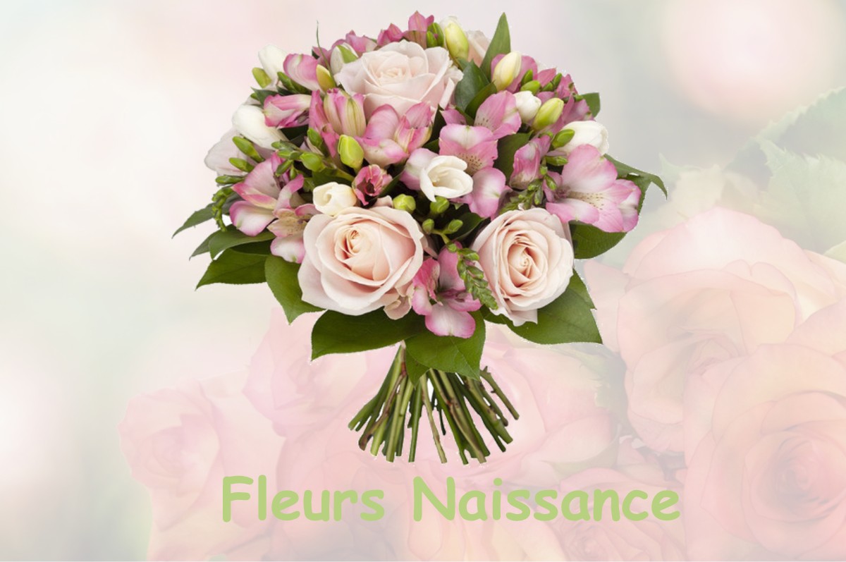 fleurs naissance ARESCHES