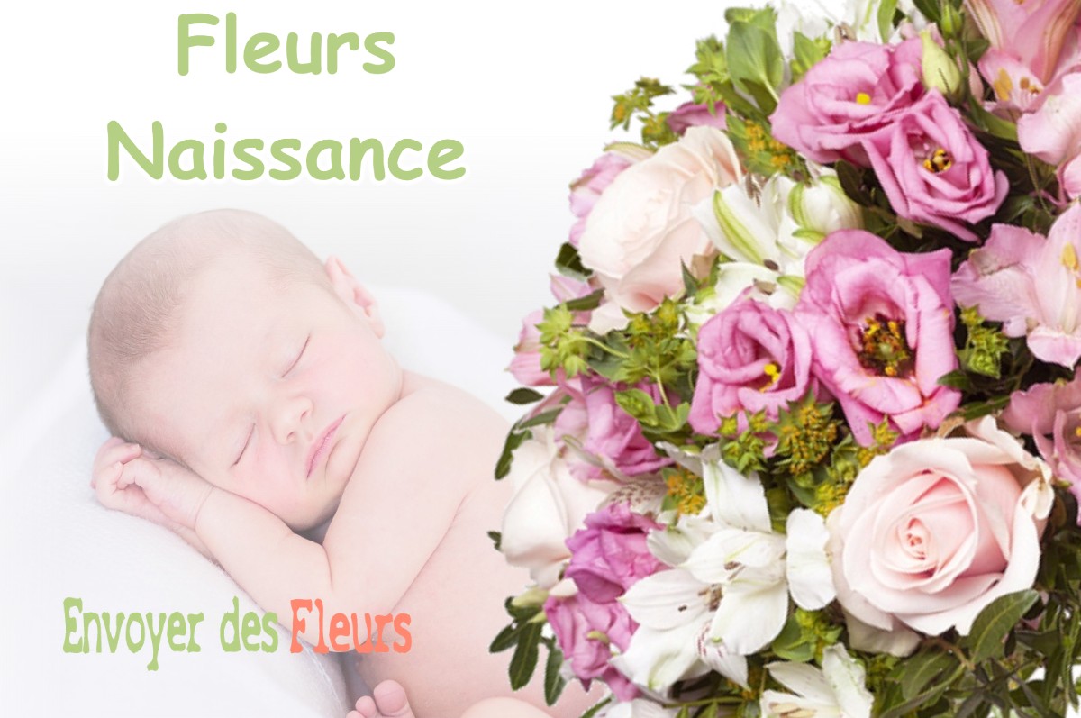 lIVRAISON FLEURS NAISSANCE à ARESCHES